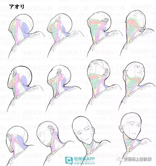 不會畫頭像？這100張高清素材趕緊收藏，平面設計必備！